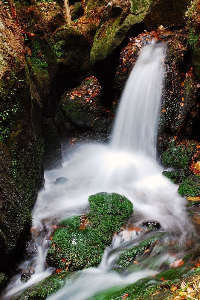 im Gelobtbachtal