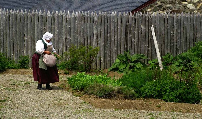 Im Gemüsegarten ....Fortress of Louisbourg 02