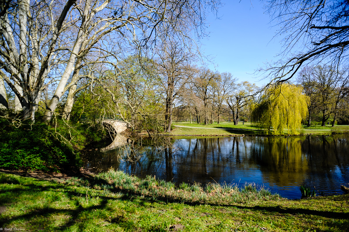 ... im Georgengarten II