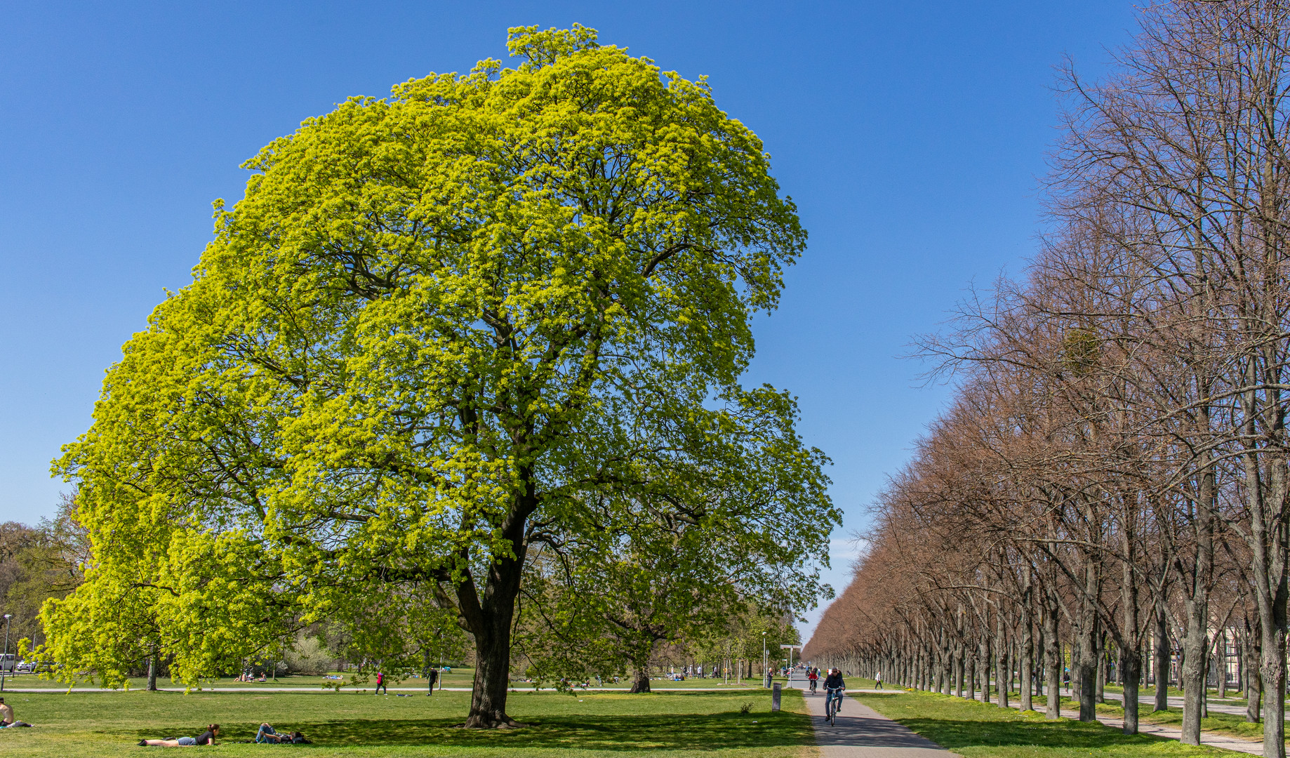 im Georgengarten V - Hannover