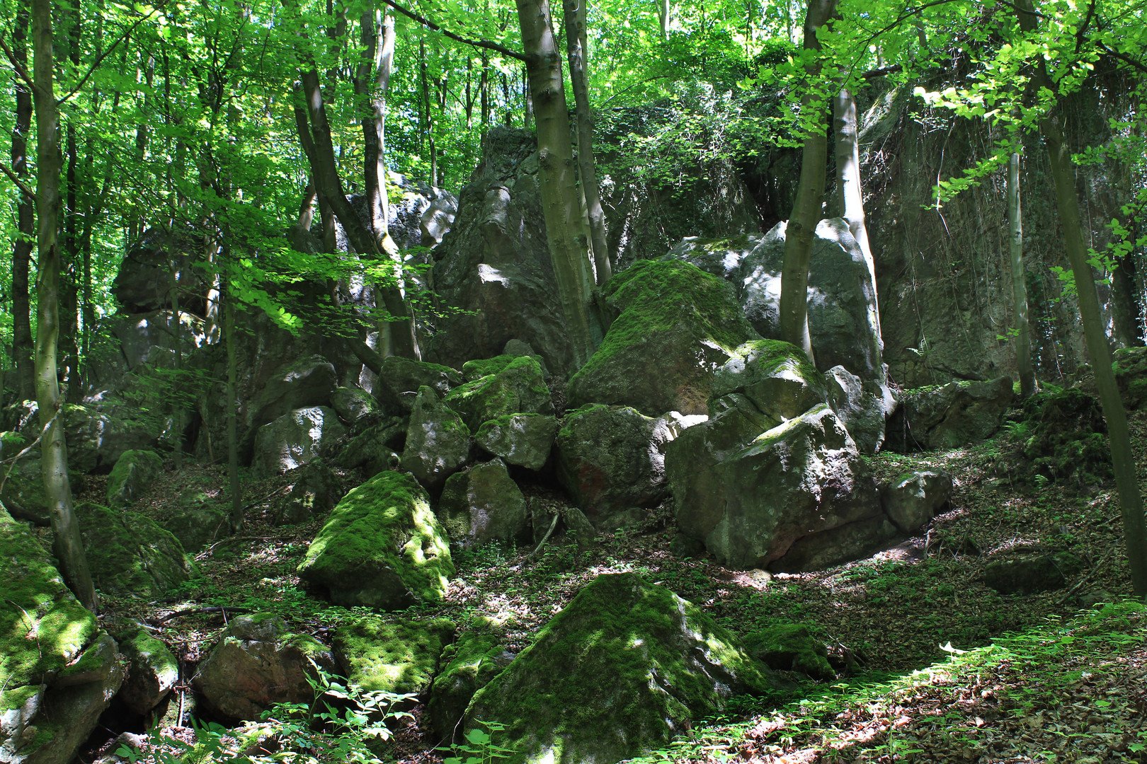 Im Geotop Felsenmeer bei Hemer