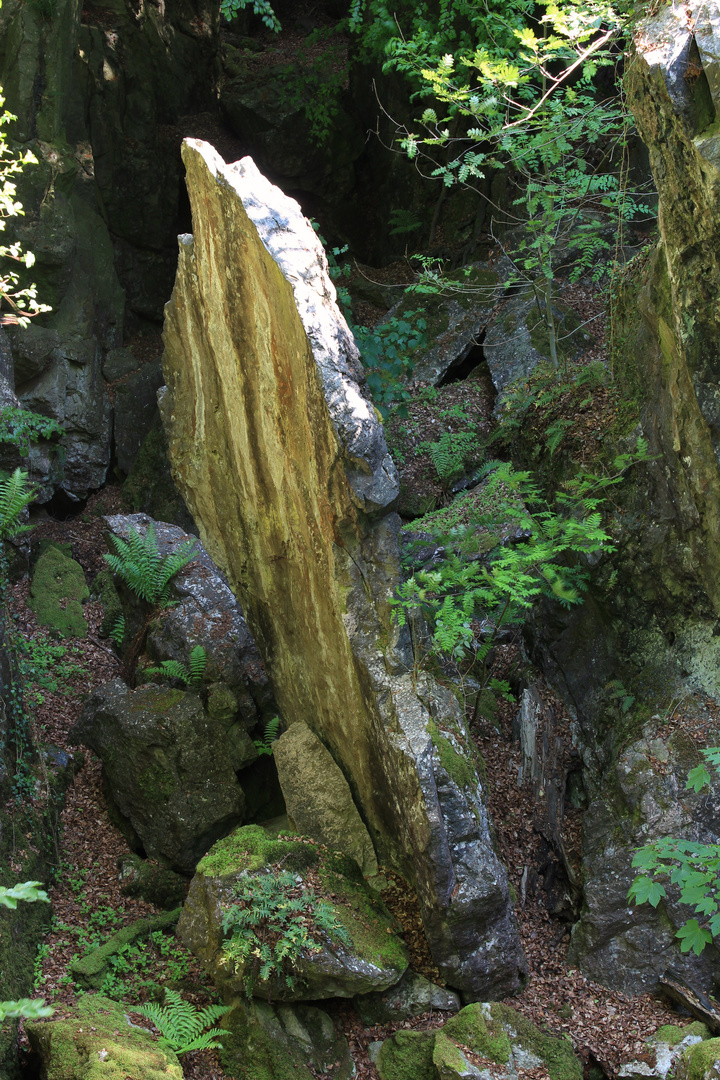 Im Geotop Felsenmeer bei Hemer