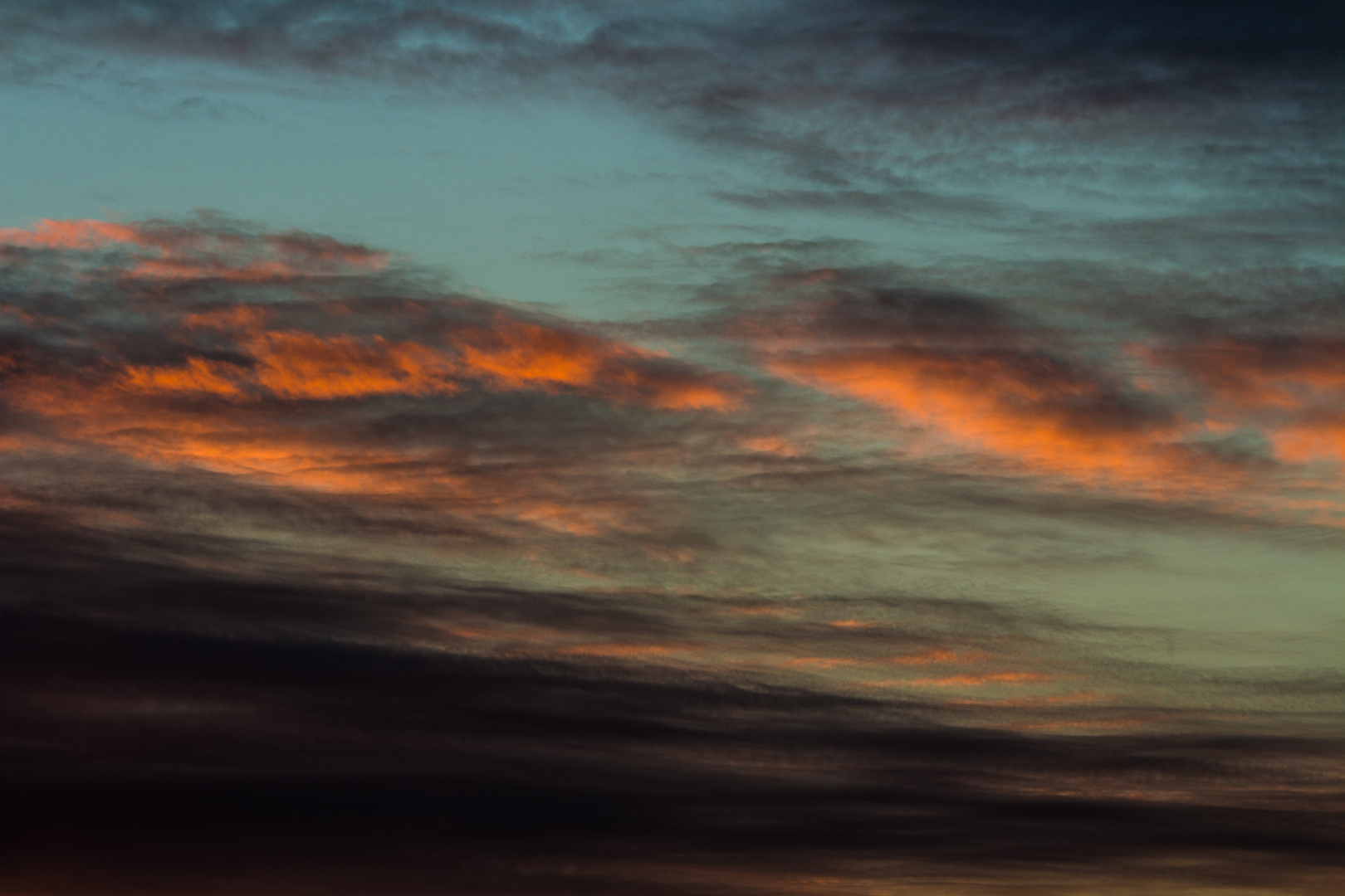 Im Glanz der Abendsonne leuchtend