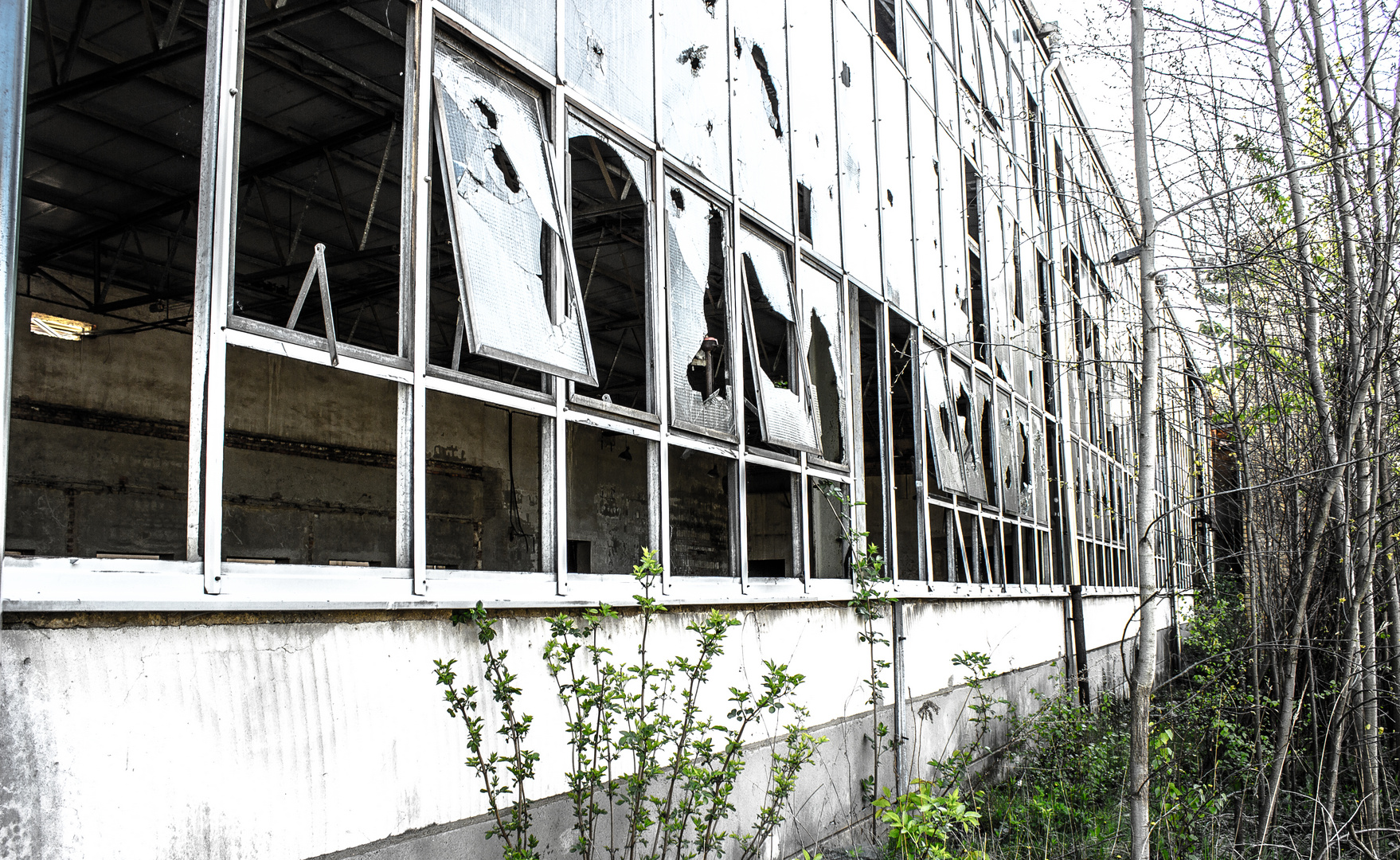 Im Glashaus keine Steine werfen