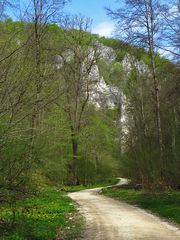 im gleichen Tal - links mit gelbe Anemonen