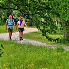 Im Gleichschritt durch die Natur