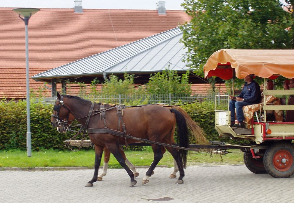 Im Gleichschritt, marsch