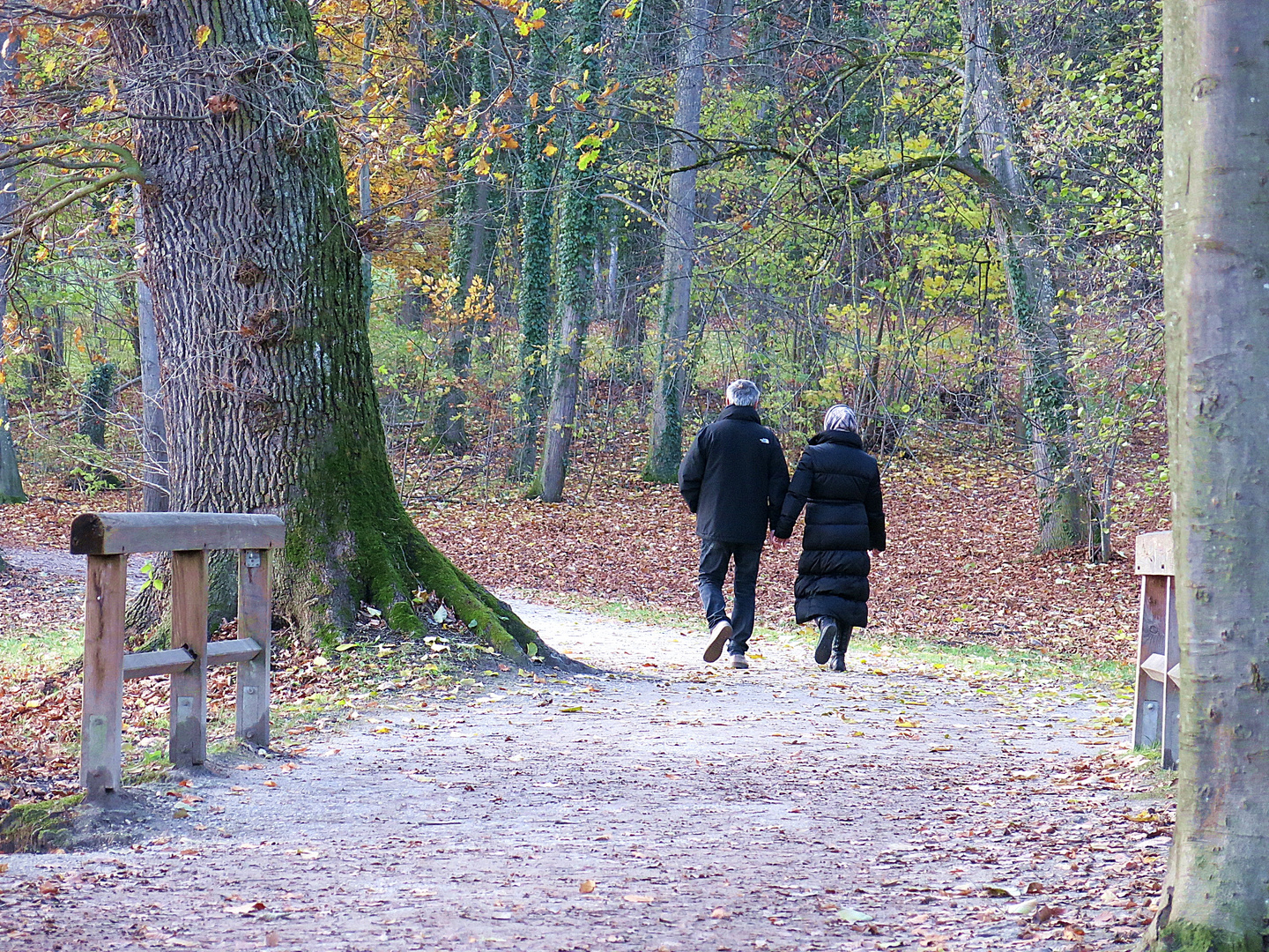 im gleichschritt und gleichklang