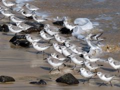 ...im Gleichschritt...02