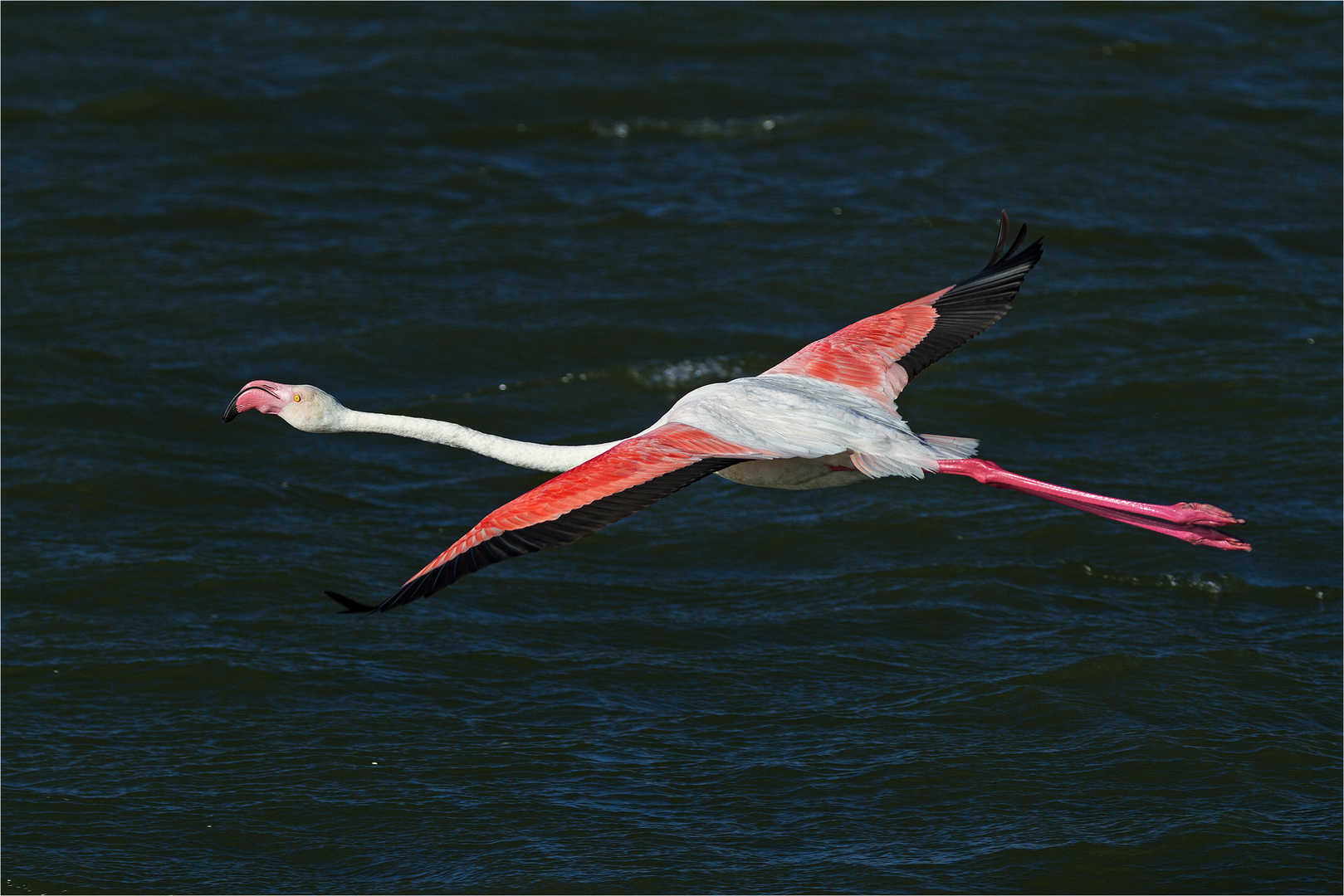 Im Gleitflug