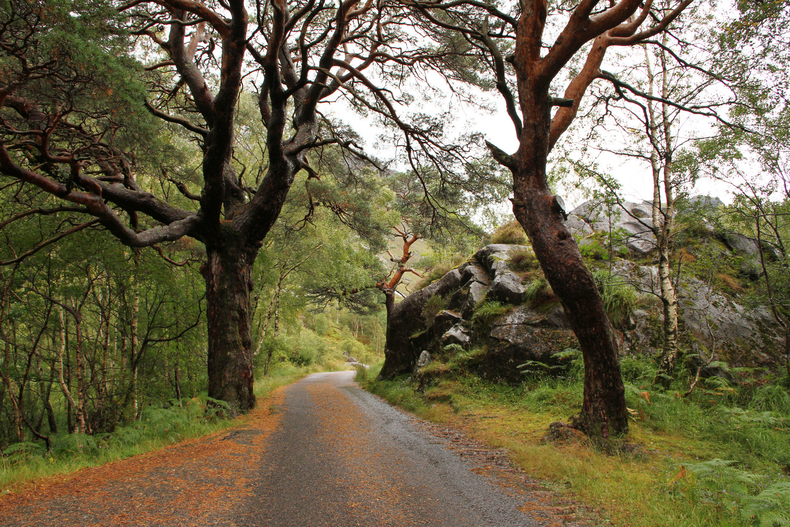 Im Glen Nevis