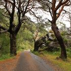 Im Glen Nevis