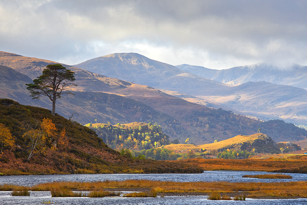 Im Glen Strathfarrar 3