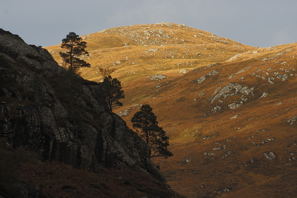 ... im Glen Strathfarrar ...