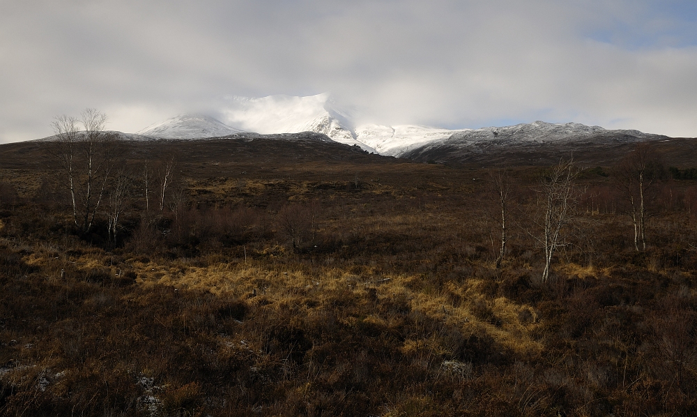 im Glen Torridon