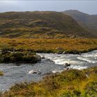 Im Glen Torridon