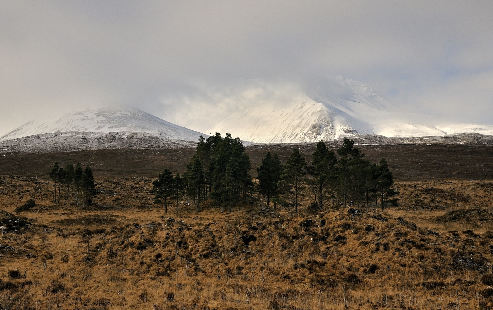 im Glen Torridon