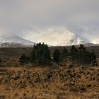 im Glen Torridon