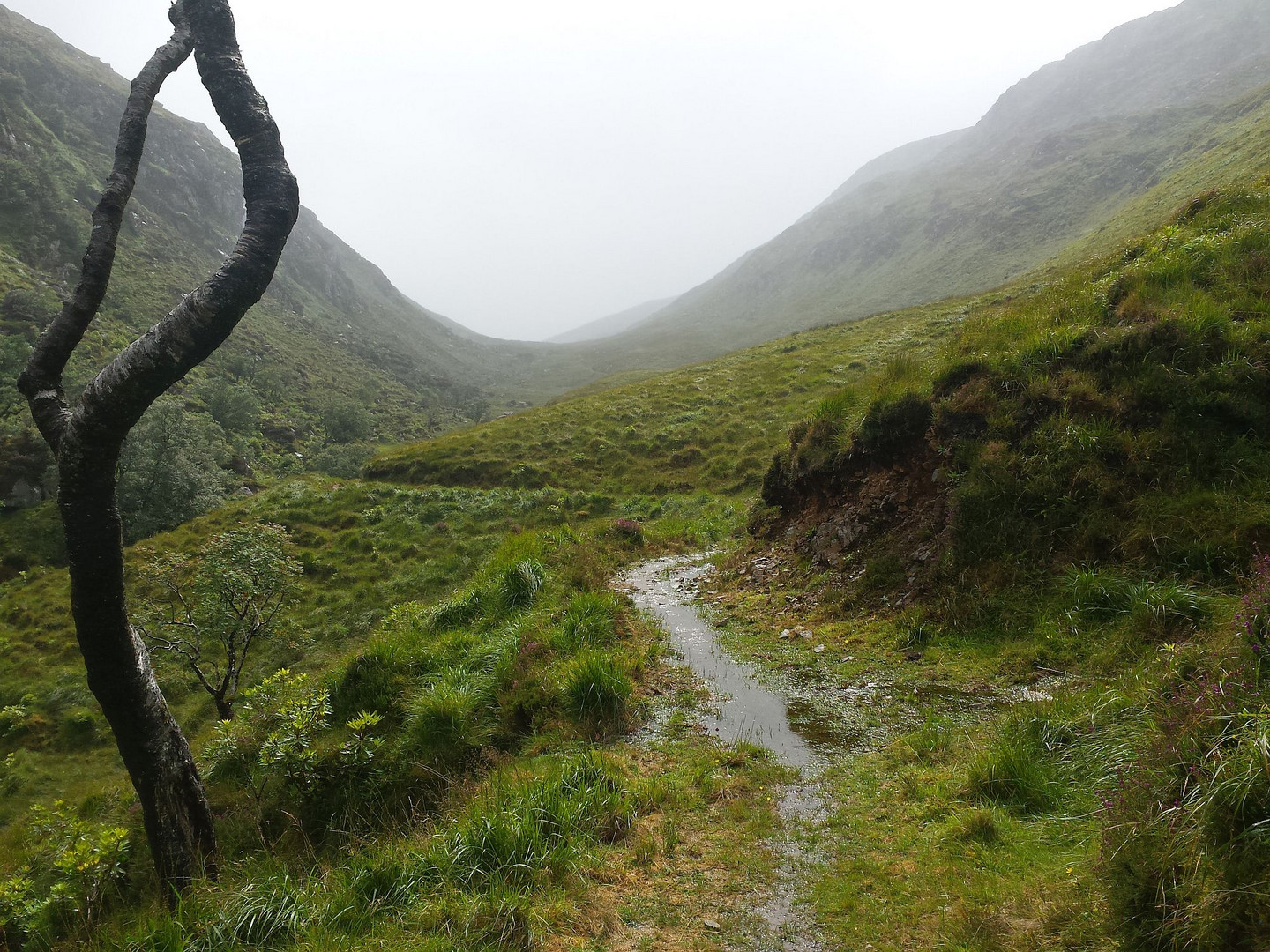 Im Glenveagh National Park...