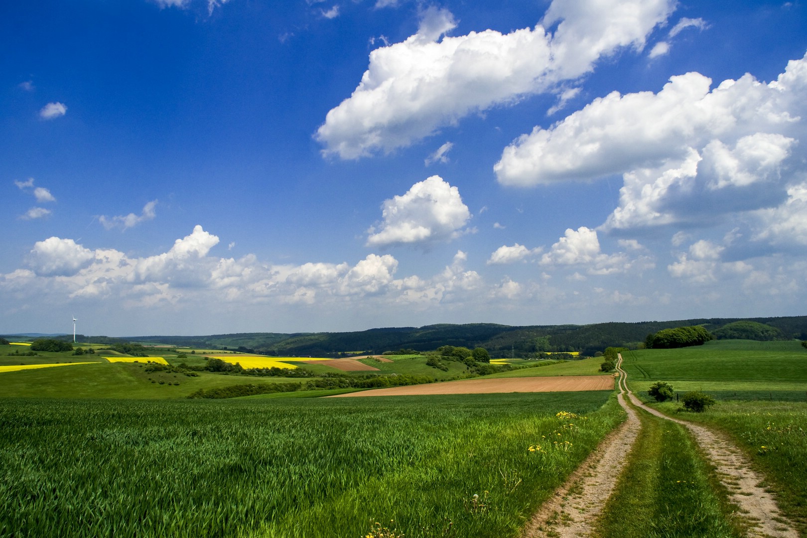 Im Glockengrund bei Udorf