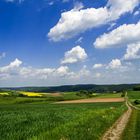 Im Glockengrund bei Udorf