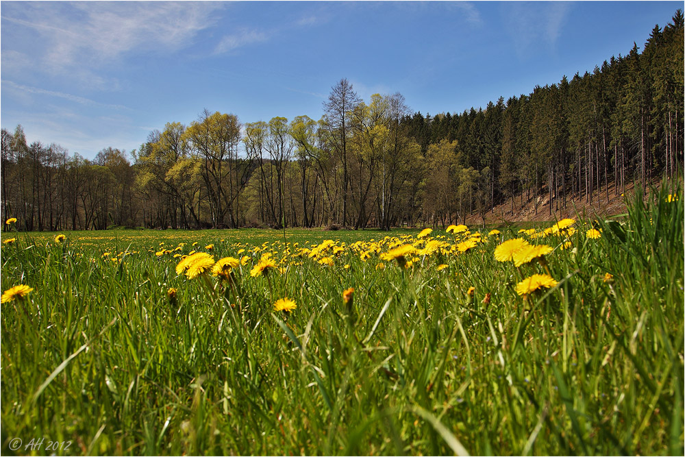 Im Göltzschtal