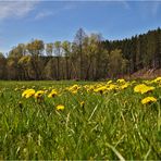 Im Göltzschtal