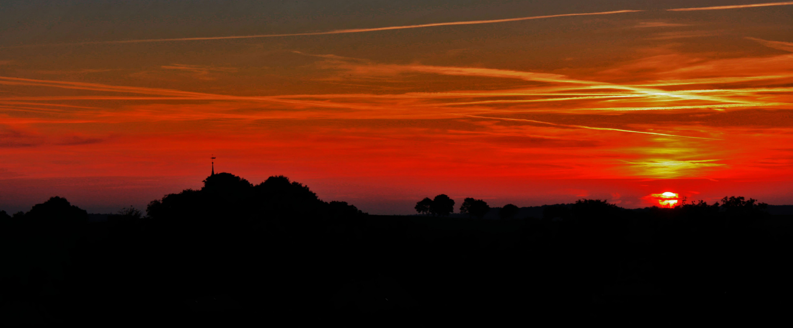 im goldenen abendlicht