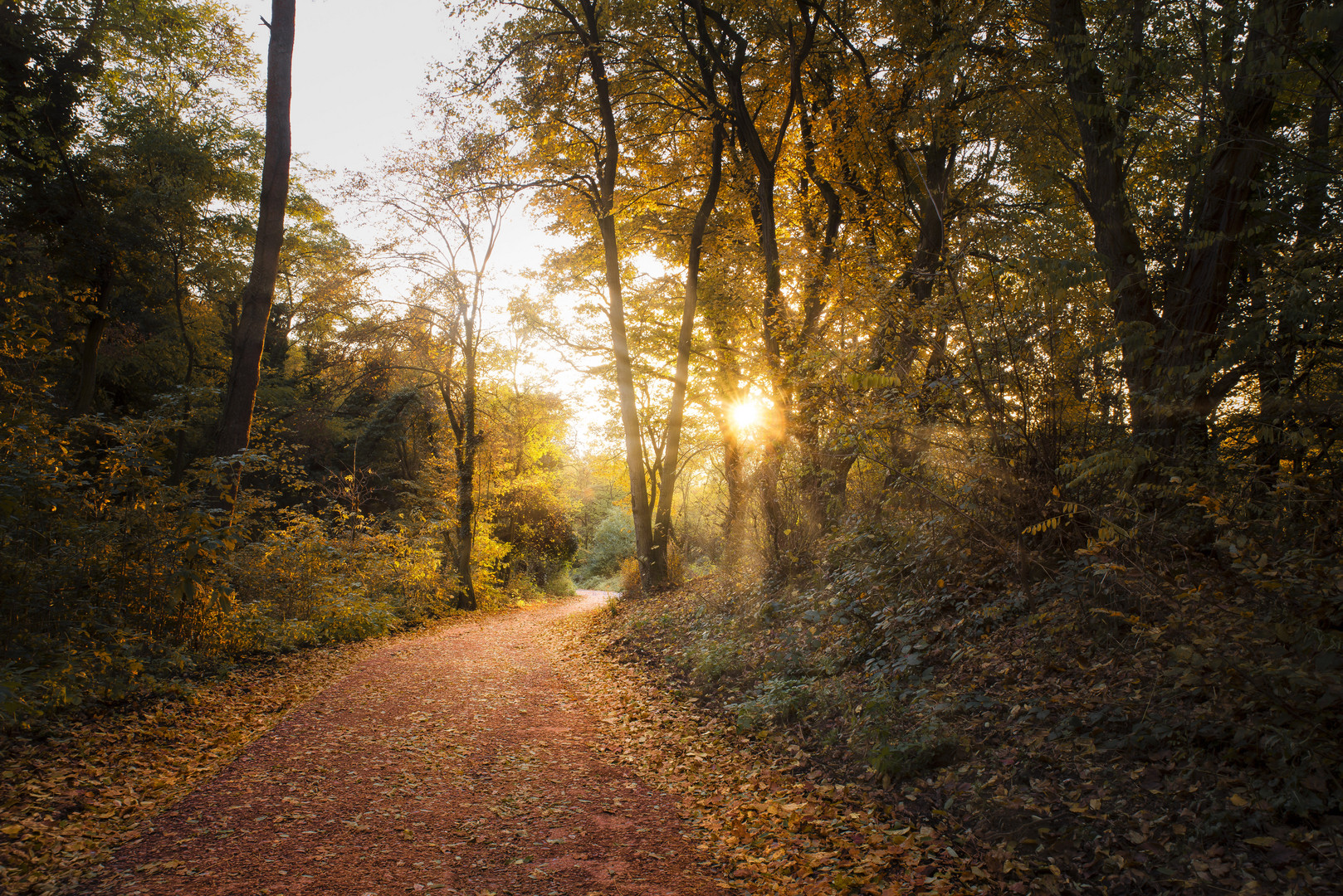 Im goldenen Herbst (2016)