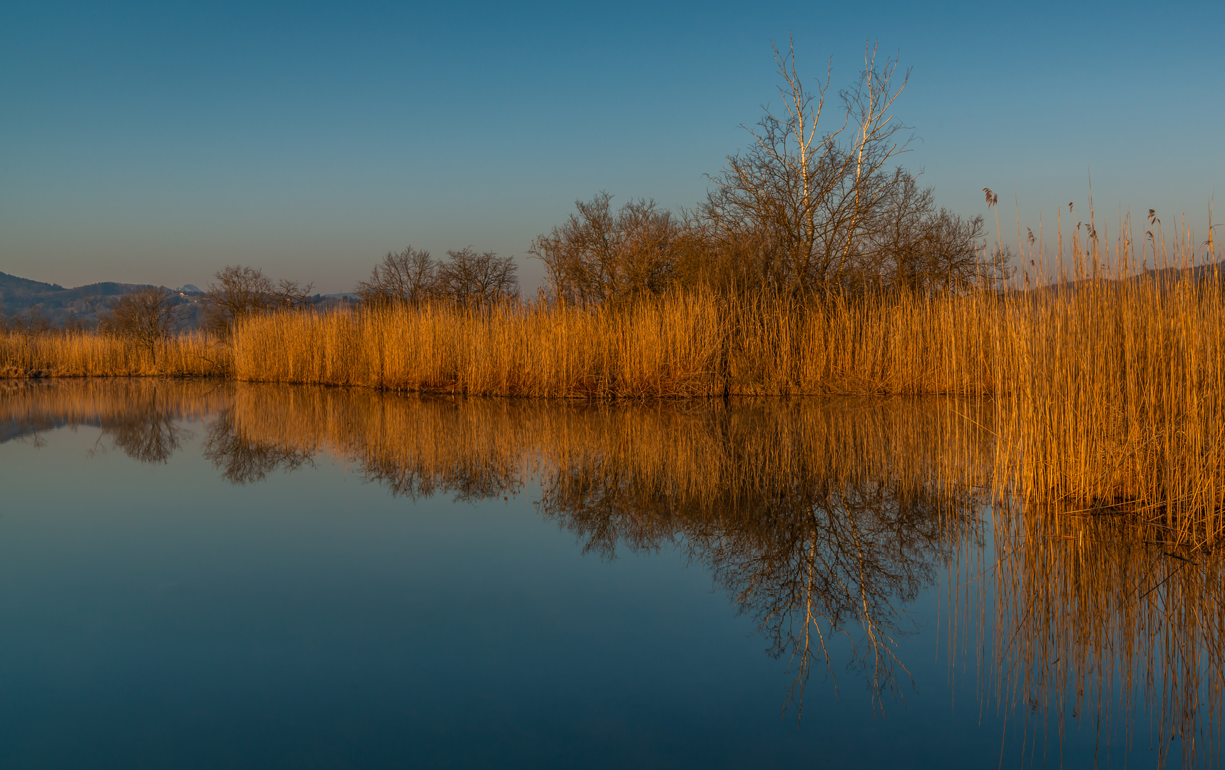 Im goldenen Licht