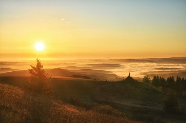 im Goldenen Licht...