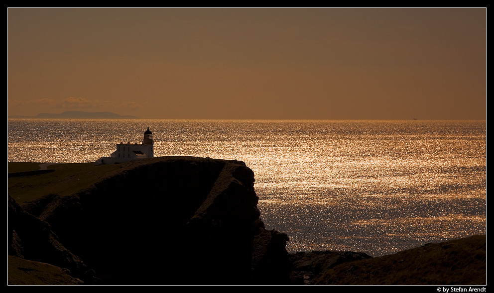 Im goldenen Licht