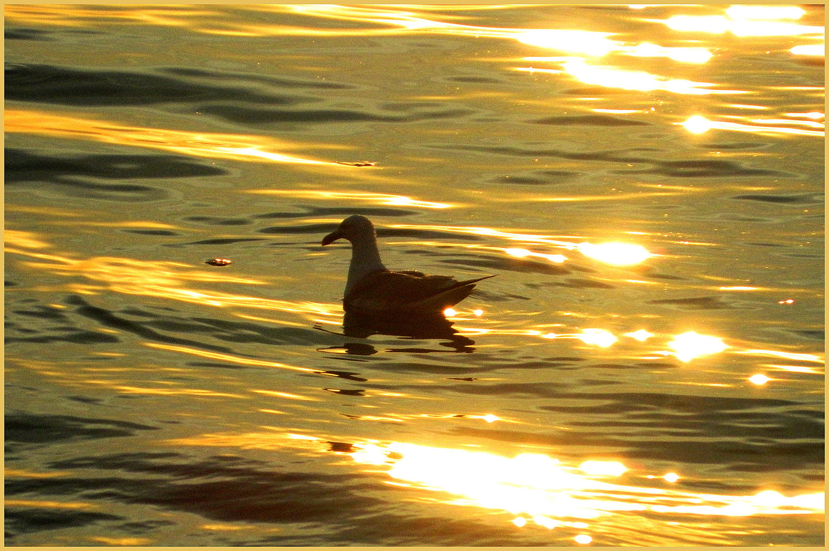 Im goldenen Meer