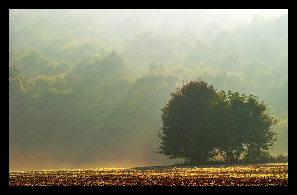 im goldenen Oktober