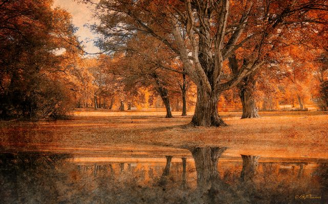 Im goldenen Park
