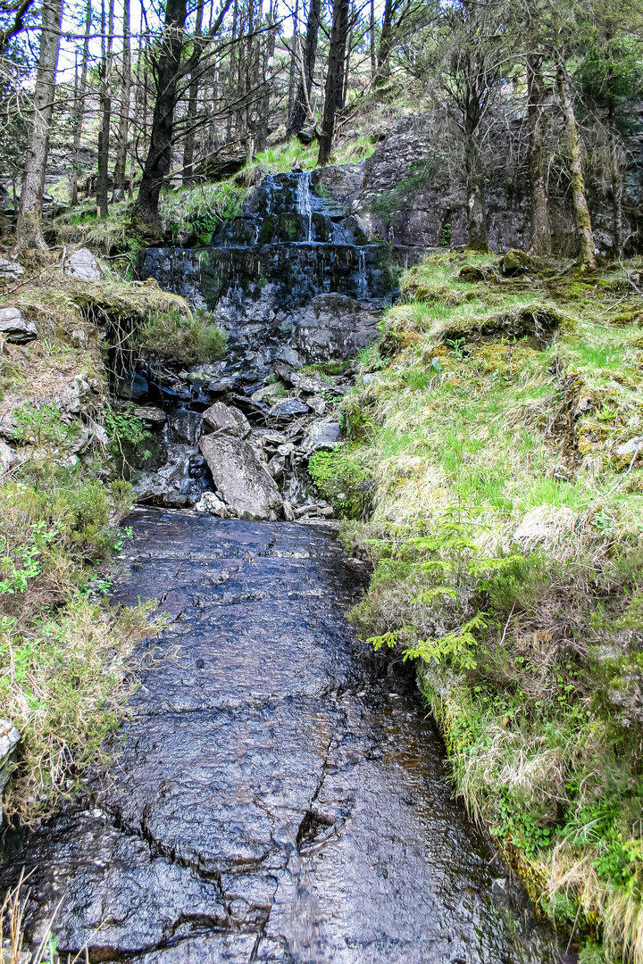 Im Gougane Barra Forest Park...