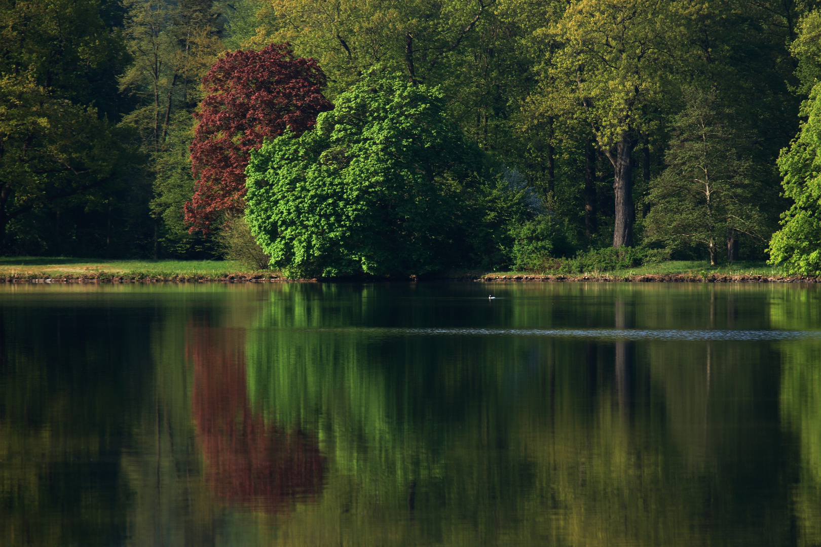 im Gräzer Park