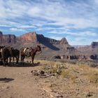 Im Gran Canyon...