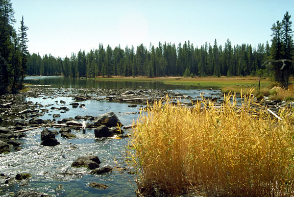 Im Grand Teton Nationalpark