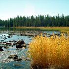 Im Grand Teton Nationalpark