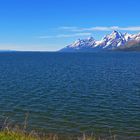 im Grand Teton NP