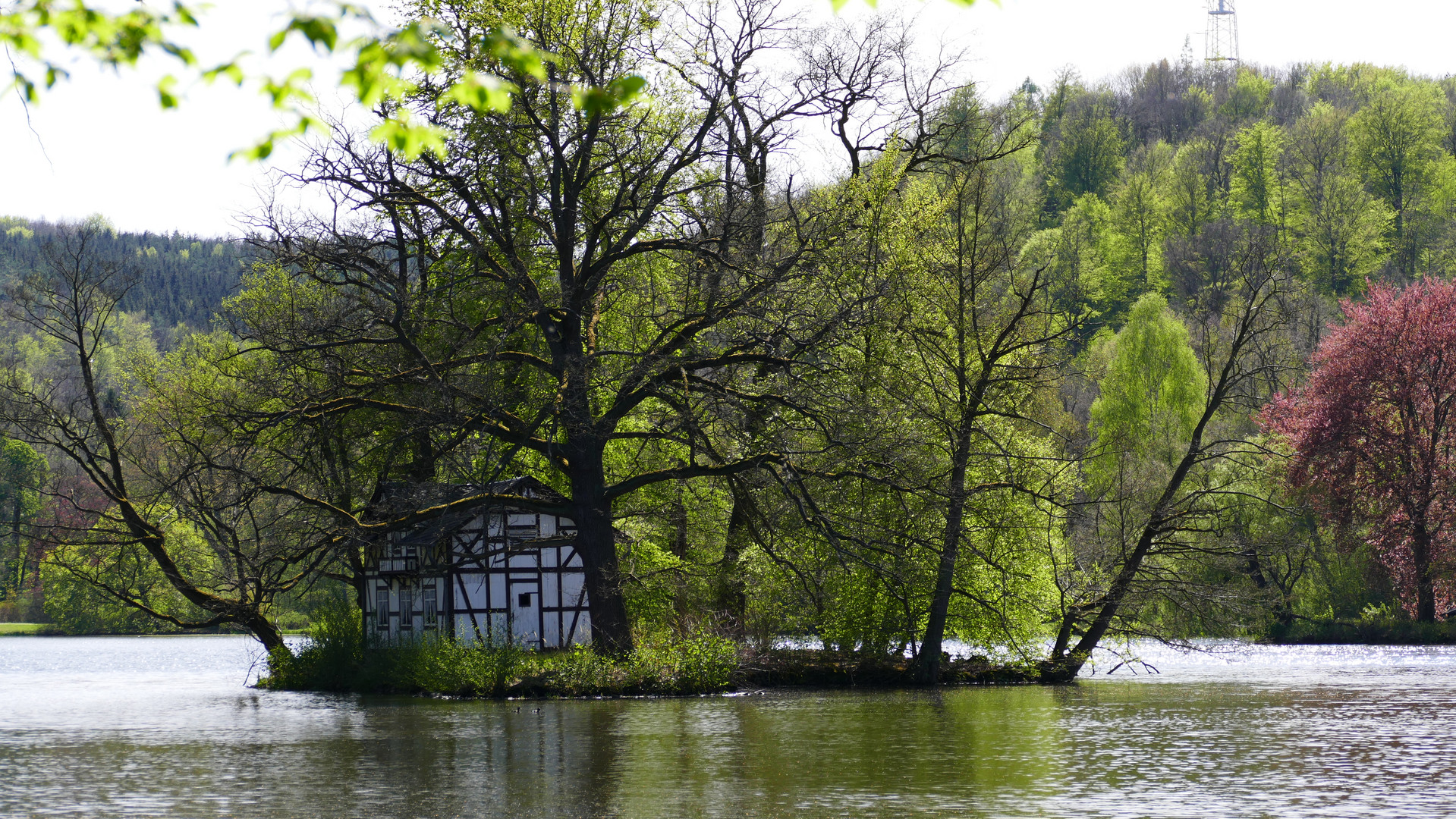 Im Greizer Park, der Parkseee mit Schwanenhäuschen