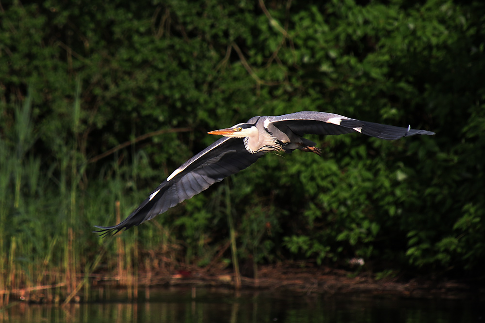 im grellen Abendlicht nach dem Abflug