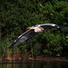 im grellen Abendlicht nach dem Abflug