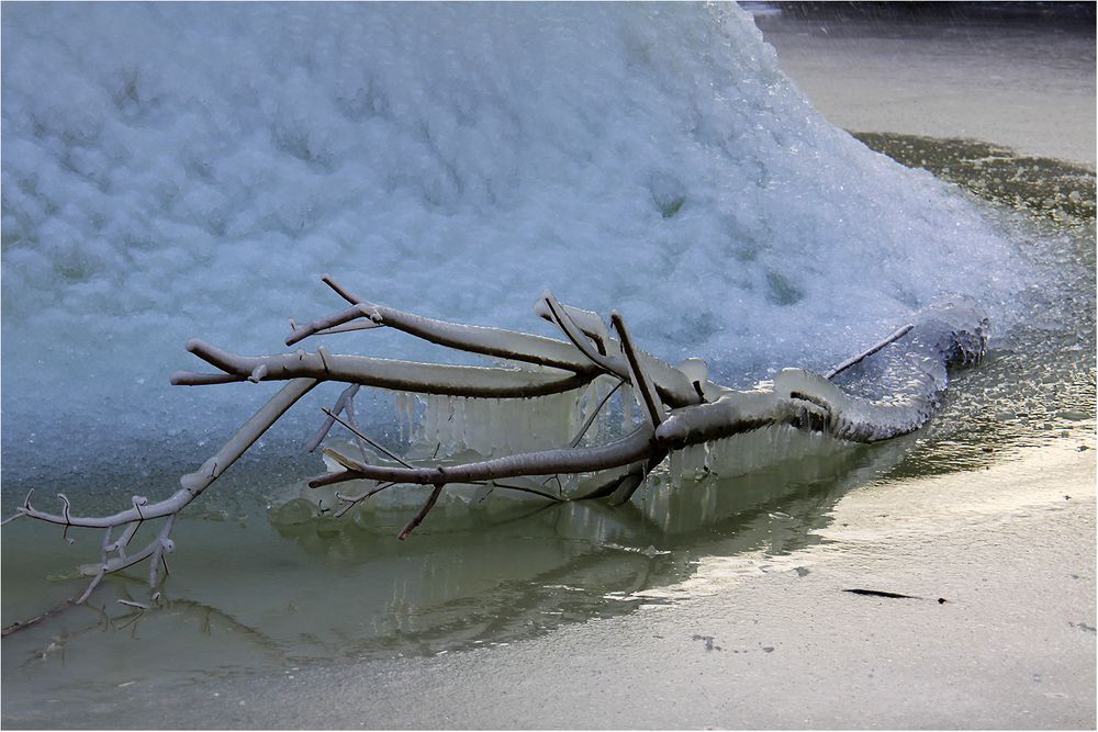 Im Griff des Eises Foto & Bild winter, teich, eis Bilder auf