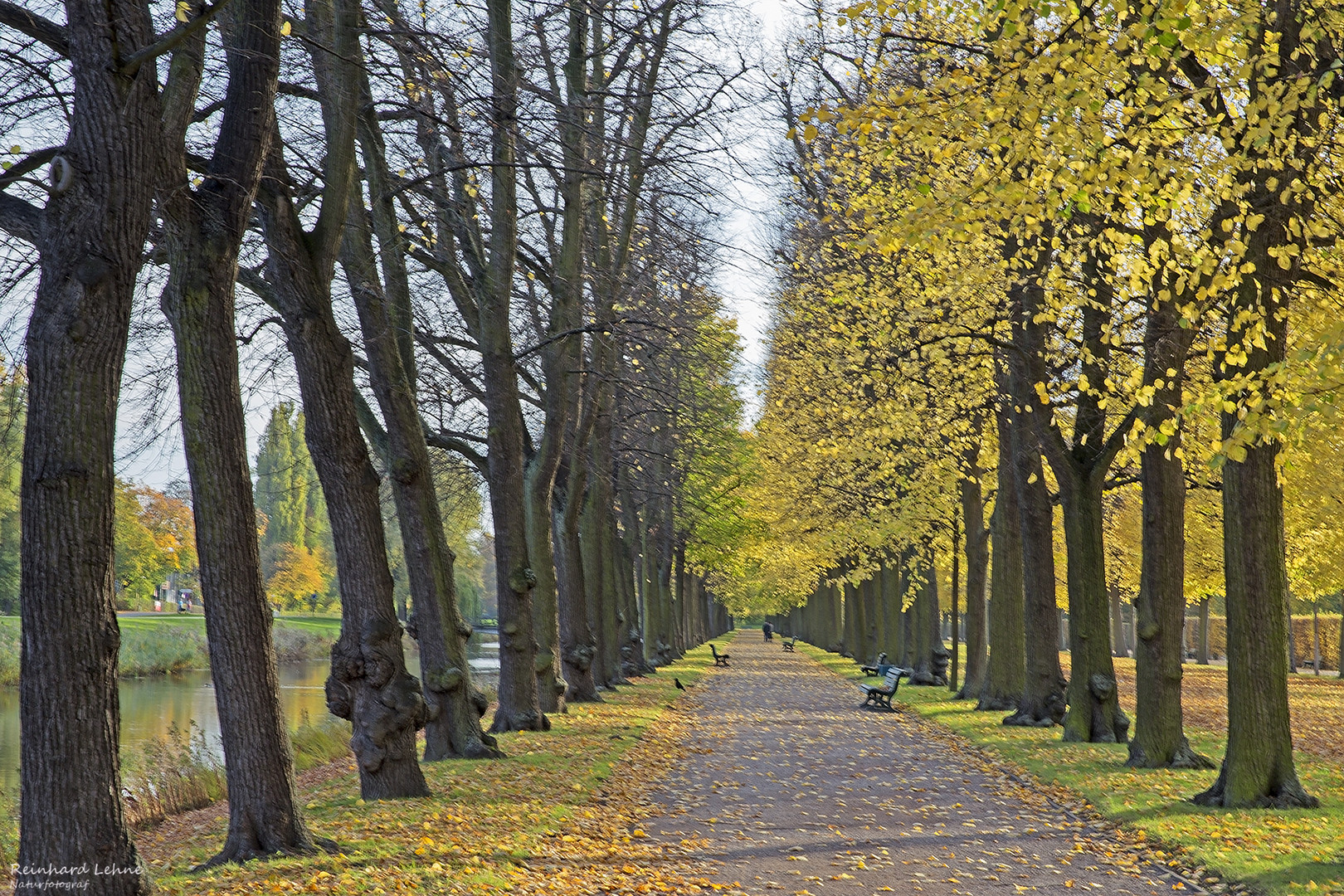 Im Großen Garten