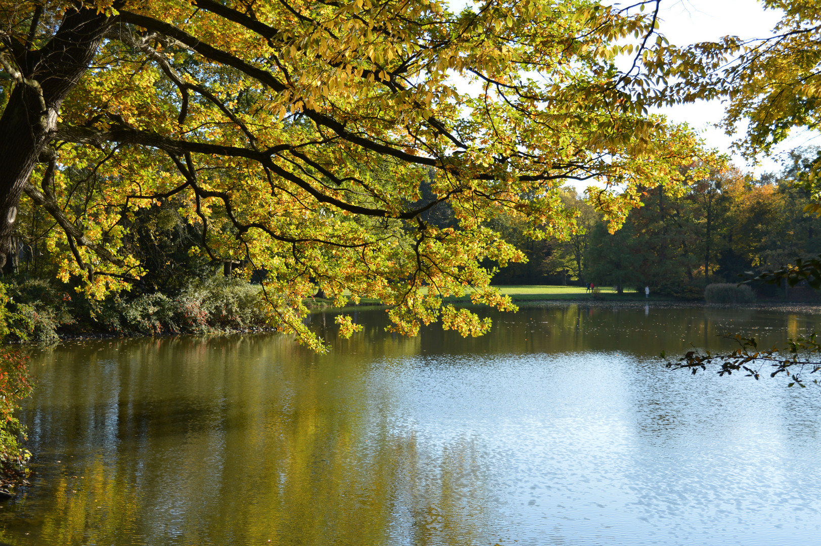 im Großen Garten in Dresden