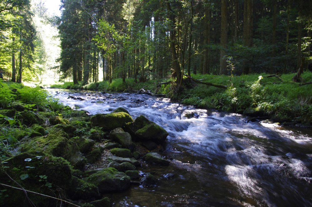 Im Großen Kößlbachtal