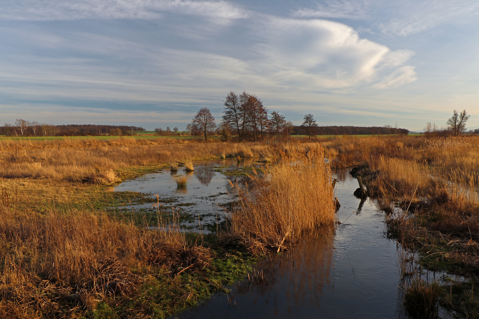 Im Großen Mühlenkampe