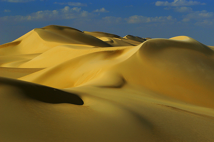 Im Grossen Sandmeer